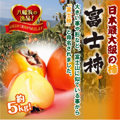 【ふるさと納税】甘さにニッコリ?日本最大級の柿「富士柿」約5キロ 【C39-15】_ 柿 カキ かき 果物 くだもの フルーツ 果実 青果 旬 秋の味覚 甘い 5kg 国産 愛媛 産地直送 産直 【配送不可地域：離島・北海道・沖縄県】【1236930】