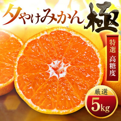 【ふるさと納税】【甘みが濃縮されたみかん】愛媛で育った夕やけみかん【極】5kg【C49-8】_ みかん ミカン 柑橘 果物 くだもの フルーツ 甘い 希少 愛媛 デザート 愛媛みかん 密柑 高糖度 極 ジューシー 果汁たっぷり 小玉 ブランド 厳選 【1243461】