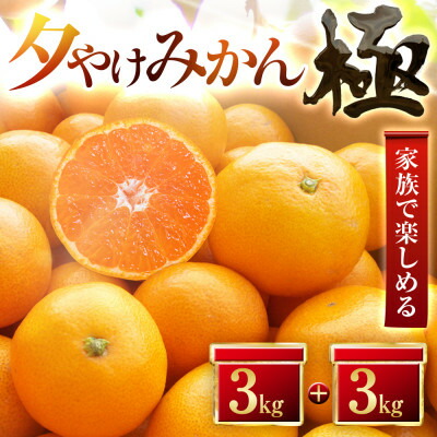 【ふるさと納税】【甘みが濃縮されたみかん】愛媛で育った夕やけみかん【極】3kg×2箱【D49-9】_ みかん ミカン 柑橘 オリジナル 果物 くだもの フルーツ 甘い 希少 愛媛 デザート 愛媛みかん 密柑 高糖度 極 ジューシー 果汁たっぷり 【1243465】