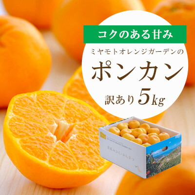 【ふるさと納税】【2026年1月以降発送】愛媛の新春柑橘 芳醇な香りのポンカン 5kg【訳あり】【C25-135】_ みかん ミカン 柑橘 フルーツ ふるーつ 果物 くだもの 青果 ワケアリ 訳あり 訳アリ 甘い ポンカン ぽんかん 愛媛 規格外 傷 不揃い 産直 産地直送 【1248059】