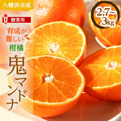 【ふるさと納税】柑橘の鬼たちがつくる八幡浜産・鬼マドンナ(2.7kg～3.0kg)[贈答用]【E56-16】_ みかん ミカン 蜜柑 柑橘 柑橘類 フルーツ 果物 くだもの 愛媛県 八幡浜市 ふるさと 【配送不可地域：離島】【1250206】