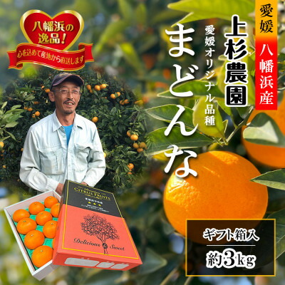 【ふるさと納税】ギフト対応化粧箱入・上杉農園のぷるぷる新食感!「マドンナ」約3kg【C39-16】_ マドンナ みかん ミカン 愛媛県 フルーツ 果物 くだもの 柑橘 かんきつ 人気 限定 産地直送 産直 ジューシー 甘い 果汁 糖度 大玉 【1251804】