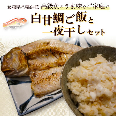 【ふるさと納税】高級魚・白甘鯛ご飯と一夜干し【E26-10】_ 干物 ひもの ヒモノ 一夜干し 冷凍 アマダイ 甘鯛 セット 食べ比べ 愛媛 高級魚 【配送不可地域：離島】【1254267】