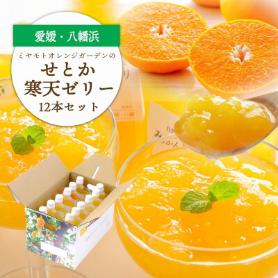 9450円 【国内発送】 せとか寒天ゼリー