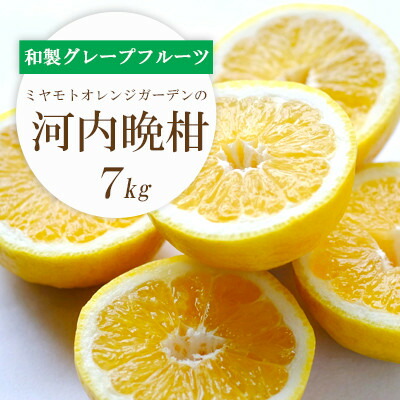 【ふるさと納税】【2025年4月下旬頃出荷】さっぱり爽やか 和製グレープフルーツ 河内晩柑7kg【D25-13】_ みかん ミカン 柑橘 フルーツ 果物 くだもの 青果 河内晩柑 晩柑 愛媛 産直 産地直送 国産 和製グレープフルーツ 旬 希少 【配送不可地域：離島】【1268372】