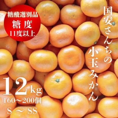 【ふるさと納税】糖度11.0以上　国安さんちの厳選小玉みかん　12kg【F20-30】_ みかん ミカン 柑橘 くだもの 果物 フルーツ 温州 小玉 ジューシー 甘い 常温 デザート 産地直送 産直 愛媛 人気 【1323622】