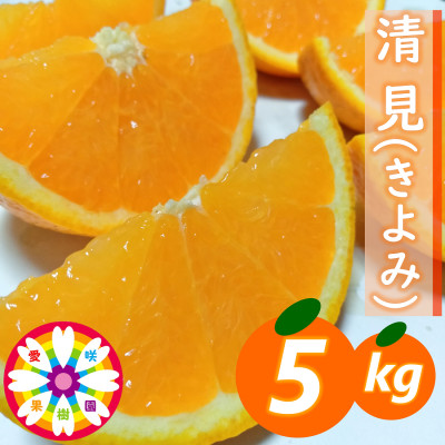 【ふるさと納税】愛咲果樹園 「 清見 」約5kg【C71-14】_ みかん ミカン 柑橘 くだもの 果物 フルーツ 清見 きよみ ジューシー 甘い 常温 デザート 産地直送 産直 愛媛 人気 【1344729】