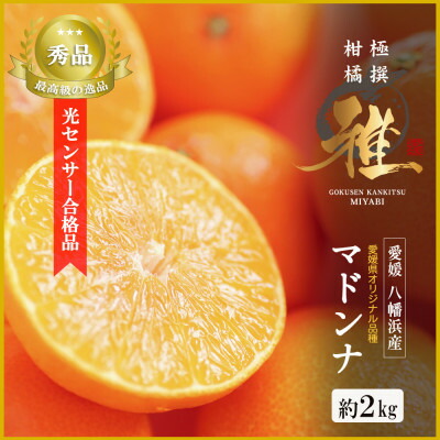 【ふるさと納税】極撰 柑橘 【 雅 】光センサー 合格品・プルプル食感「 マドンナ 」 2キロ　【C39-43】_ マドンナ みかん ミカン 愛媛県 フルーツ 果物 くだもの 柑橘 かんきつ 人気 限定 産地直送 産直 【1348010】