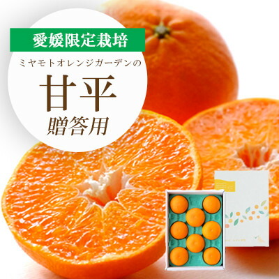 【ふるさと納税】【2026年2月より順次発送】愛媛限定栽培柑橘 甘平(かんぺい) ギフトボックス入り【D25-99】_ みかん ミカン 柑橘 フルーツ ふるーつ 果物 くだもの 青果 甘平 かんぺい 甘い 高糖度 濃厚 愛媛 希少 産直 産地直送 箱入 【1360088】
