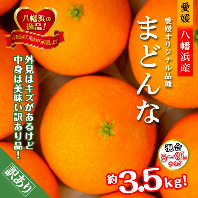 【ふるさと納税】2025年11月発送開始　ぷるぷる食感!「 まどんな 」約3.5 キロ【 訳あり 】【C39-44】_ 訳アリ わけあり みかん ミカン 蜜柑 柑橘 柑橘類 人気 美味しい 愛媛県 八幡浜市 ふるさと フルーツ 果物 くだもの 【配送不可地域：離島】【1419628】