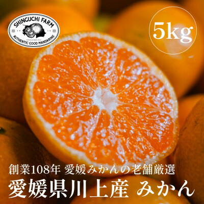 【ふるさと納税】愛媛みかんの老舗厳選【愛媛県川上産 みかん5kg】新口農園【C70-1】_ みかん ミカン 柑橘 フルーツ 果物 くだもの 青果 産地直送 産直 愛媛 甘い 濃い 家庭用 濃厚 5kg 【1440738】