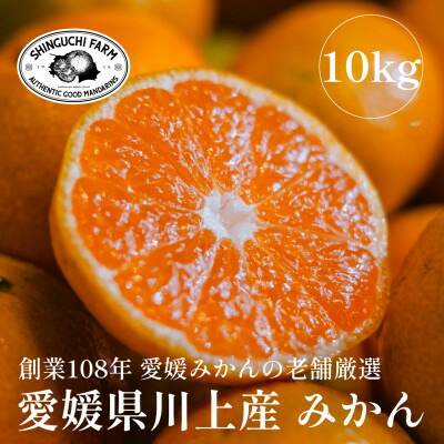 【ふるさと納税】愛媛みかんの老舗厳選【愛媛県川上産 みかん10kg】新口農園【E70-3】【1440739】