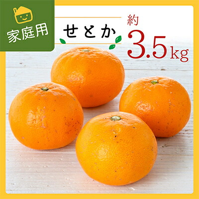 【ふるさと納税】コウ果樹園の家庭用【せとか】3.5kg【C33-31】_ 訳あり 訳アリ みかん ミカン 愛媛県 フルーツ 果物 くだもの 柑橘 かんきつ 人気 産地直送 産直 ジューシー 甘い 果汁 糖度 規格外 濃厚 家庭用 セトカ 【1441231】