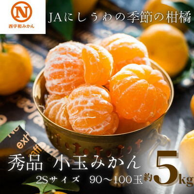 【ふるさと納税】JAにしうわの季節の柑橘(八幡浜共選「秀品2S小玉みかん」約5kg)【C08-73】_ みかん ミカン 柑橘 フルーツ くだもの 果物 ふるーつ 青果 果実 甘い ジューシー 産直 産地直送 旬 柑橘類 人気 【1443230】