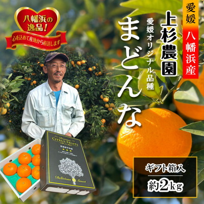 【ふるさと納税】ギフト対応化粧箱入・上杉農園のぷるぷる新食感!「マドンナ」約2kg【C39-50】_ みかん ミカン 柑橘 まどんな 果物 くだもの フルーツ 旬 愛媛 濃厚 甘み 国産 産直 産地直送 【1450439】