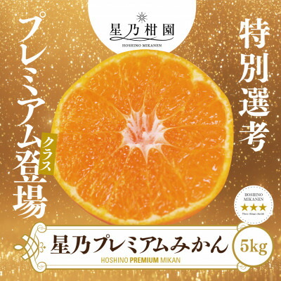 【ふるさと納税】【三つ星ブランド】星乃みかんプレミアムシリーズ(5kg)【C45-84】【1454778】