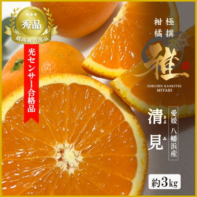 【ふるさと納税】2026年3月出荷開始　極撰柑橘【雅】光センサー合格品・完熟「清見」3キロ【C39-56】【配送不可地域：離島】【1462396】