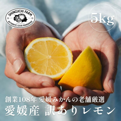 【ふるさと納税】【訳あり】レモン5kg【防腐剤・ワックス不使用】新口農園【C70-22】【1470676】