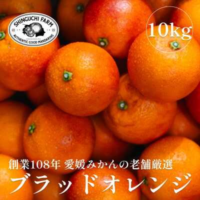 【ふるさと納税】創業百八年 愛媛みかんの老舗【ブラッドオレンジ 10kg】 新口農園【F70-19】【1470694】