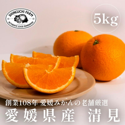 【ふるさと納税】【創業108年】愛媛みかんの老舗厳選【清見 5kg】【C70-14】_ みかん ミカン 柑橘 フルーツ 果物 くだもの 青果 清見 きよみ ジューシー 産地直送 産直 愛媛 甘い 常温 家庭用 希少 名産地 樹上 完熟 【1470711】
