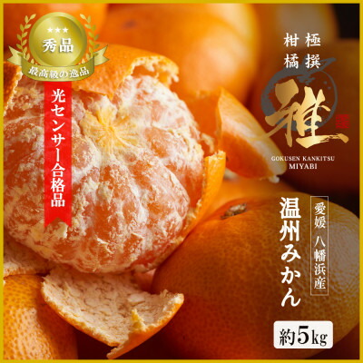 【ふるさと納税】特撰柑橘【雅】光センサー合格品「八幡浜温州みかん」約5キロ 【D39-54】_ みかん ミカン 愛媛県 フルーツ 果物 くだもの 柑橘 かんきつ 人気 産地直送 産直 ジューシー 甘い 果汁 糖度 高級 極【配送不可地域：離島】【1491404】