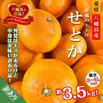 【ふるさと納税】2026年2月発送開始　柑橘の大トロ!「せとか」約3.5キロ【訳あり品・家庭向け】【C39-51】_ 訳あり ワケアリ みかん ミカン 柑橘 せとか 果物 くだもの フルーツ 旬 愛媛 柑橘の大トロ 濃厚 甘み 国産 産直 規格外 【配送不可地域：離島】【1491413】