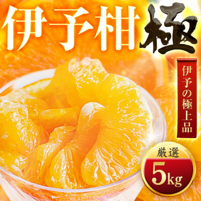 【ふるさと納税】【太陽をたっぷり浴びた】伊予柑【極】5kg【C49-43】_ みかん ミカン 柑橘 果物 くだもの フルーツ 伊予間 いよかん 甘酸っぱい 希少 愛媛 デザート 愛媛みかん 極 ジューシー 果汁たっぷり 厳選 ブランド 【1509740】