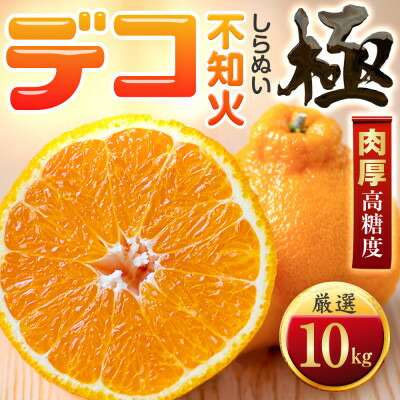 【ふるさと納税】【太陽をたっぷり浴びた】デコ(不知火)【極】10kg【F49-47】_ みかん ミカン 柑橘 不知火 しらぬい デコ 果物 くだもの フルーツ 甘い 希少 愛媛 デザート 愛媛みかん 密柑 高糖度 極 ジューシー 果汁たっぷり 厳選 【1509744】