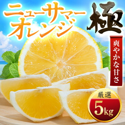 【ふるさと納税】【太陽をたっぷり浴びた】ニューサマーオレンジ【極】5kg【C49-58】_ みかん ミカン 柑橘 果物 くだもの フルーツ 日向夏 甘い 希少 愛媛 デザート 愛媛みかん 極 ジューシー 果汁たっぷり ブランド 厳選 オレンジ 【1509761】