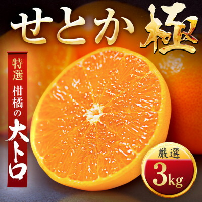 【ふるさと納税】「夕やけブランド」柑橘の大トロ!【せとか】3kg【C49-67】_ みかん ミカン 柑橘 果物 くだもの フルーツ せとか 甘い 希少 愛媛 デザート 愛媛みかん 極 ジューシー 果汁たっぷり 厳選 特選 スイーツ ブランド 【1509770】