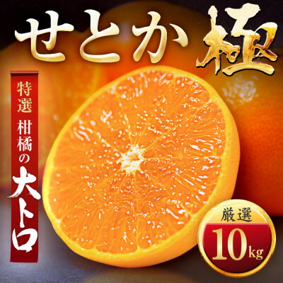 【ふるさと納税】「夕やけブランド」柑橘の大トロ!【せとか】10kg【H49-68】【1509771】