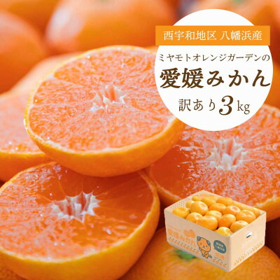 【ふるさと納税】【2025年11月より順次発送】酸味と甘みのバランス◎愛媛みかん3kg【訳あり】【A25-164】【1509982】