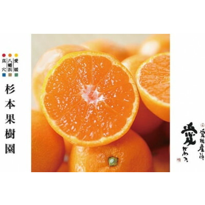 楽天市場】【ふるさと納税】真穴みかん【貴賓】特級(24個入)【F44-2