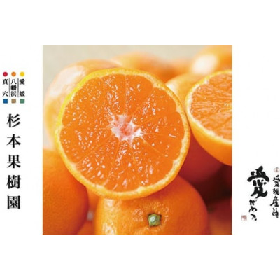 楽天市場】【ふるさと納税】真穴みかん【貴賓】特級(24個入)【F44-2