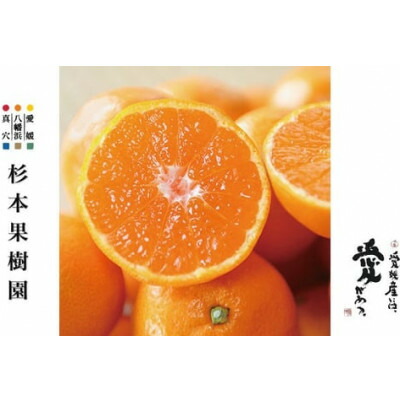 専用❤みかん❤超レア⭐高級Ｗボア⭐シングルロングお布団♥ お歳暮 ギフト】愛媛県産 JAにしうわ 真穴みかん 約2.8キロ(1.4キロ×2