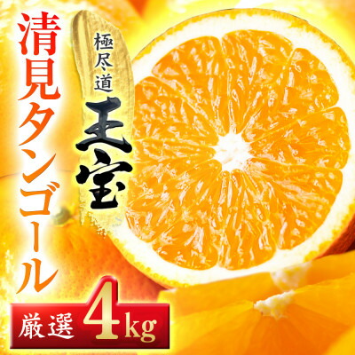 【ふるさと納税】【愛媛名産】玉宝清見タンゴール　4kg【C64-34】【1510844】
