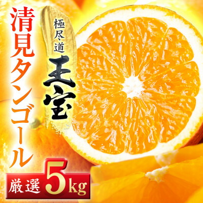 【ふるさと納税】【愛媛名産】玉宝清見タンゴール　5kg【C64-35】【1510847】
