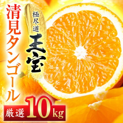 【ふるさと納税】【愛媛名産】玉宝清見タンゴール　10kg【F64-36】【1510855】