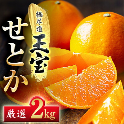 【ふるさと納税】「玉宝ブランド」【せとか】2kg【C64-46】_ みかん せとか 蜜柑 ミカン 愛媛 柑橘 かんきつ 愛媛みかん 果物 くだもの フルーツ 果実 青果 デザート おいしい 2kg 1箱 産直 産地直送 愛媛県 国産 送料無料 【1511267】