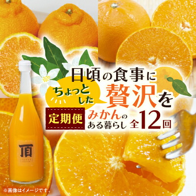 【ふるさと納税】【発送月固定定期便】みかんのある暮らし全12回【H31-33】_ 蜜柑 ミカン 柑橘類 柑橘 フルーツ 果物 くだもの 人気 美味しい 愛媛県 八幡浜市 ふるさと 【配送不可地域：離島】【4000707】