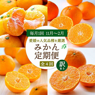 【ふるさと納税】【発送月固定定期便】愛媛の人気品種!かんきつ定期便 11月～2月(訳あり)全4回【H25-155】【4012889】