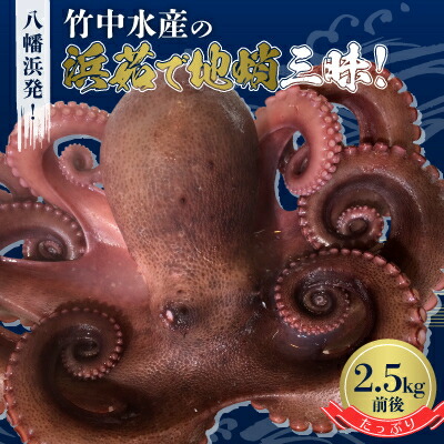 【ふるさと納税】八幡浜発!竹中水産のたっぷり「浜茹で地蛸」三昧!たっぷり2.5kg前後【H22-190】_ たこ タコ 蛸 海鮮 魚介 刺身 八幡浜 送料無料 【配送不可地域：離島】【1043153】