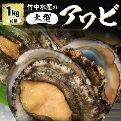 【ふるさと納税】竹中水産の嗜好の大型アワビ(1kg前後)!【H22-227】_ 鮑 アワビ あわび 刺身 竹中水産 送料無料 産直 冷蔵 海鮮 魚貝 1kg 人気 おすすめ 大型 ステーキ グルメ 【配送不可地域：離島・北海道・沖縄県】【1060851】