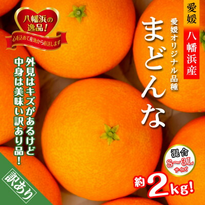 【ふるさと納税】2025年11月より発送開始　ぷるぷる食感!!「まどんな」約2キロ【訳あり・家庭用】【B39-58】_ 訳あり わけあり みかん ミカン 柑橘 まどんな 果物 くだもの フルーツ 旬 愛媛 濃厚 甘み 国産 産直  【配送不可地域：離島】【1512437】