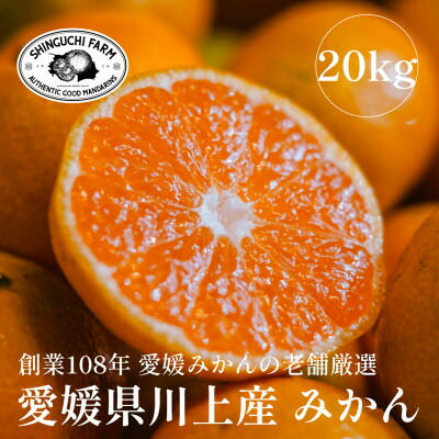 【ふるさと納税】愛媛みかんの老舗厳選【愛媛県川上産 みかん 20kg】新口農園【H70-33】【1536301】
