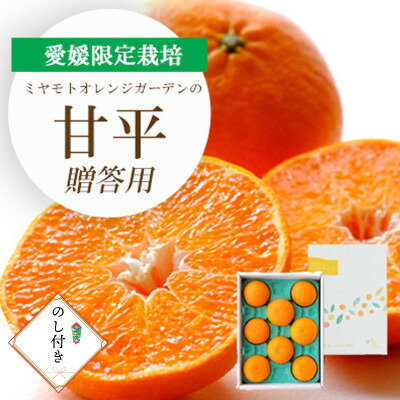 【ふるさと納税】【2026年2月より順次発送】愛媛限定栽培柑橘 甘平(かんぺい) 贈答用 のし付き【D25-169】【1536582】