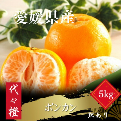 【ふるさと納税】【濃厚な甘さ】【訳あり】ポンカン 5kg【C83-15】【1549105】