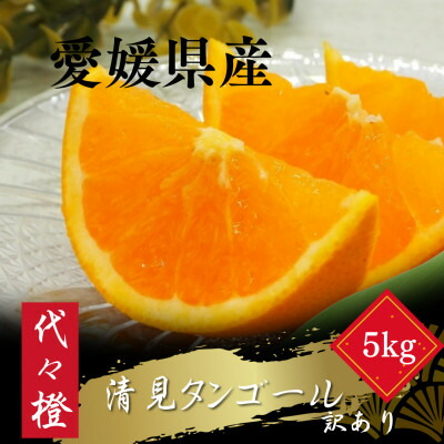 【ふるさと納税】【トロッととろける果実】【訳あり】清見タンゴール 5kg【C83-16】【1549106】