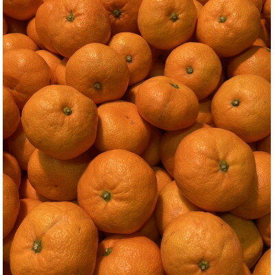 楽天市場】【ふるさと納税】厳選品!! 横ちゃんちの南柑20号 約5kg【C84