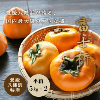 【ふるさと納税】《八幡浜特産 国内最大級の 柿》 富士柿 10kg (5kg×2箱)種無し【H20-37】【1594879】